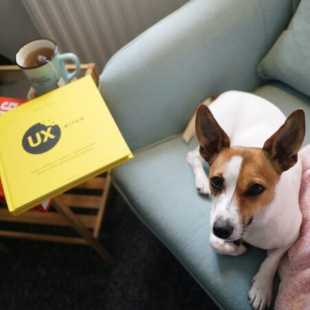 UI UX book with dog on couch